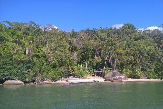 Kayaking Mangroves tour - An In-Depth Look at the Kayaking Mangroves Tour in Paraty