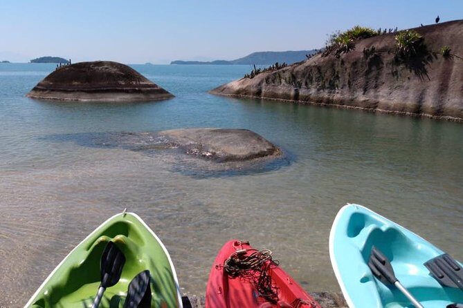 Kayaking Mangroves tour ( Natural Reserve ) - Key Points