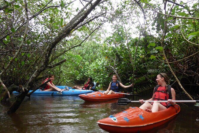 Kayaking Mangroves tour ( Natural Reserve ) - Final Thoughts