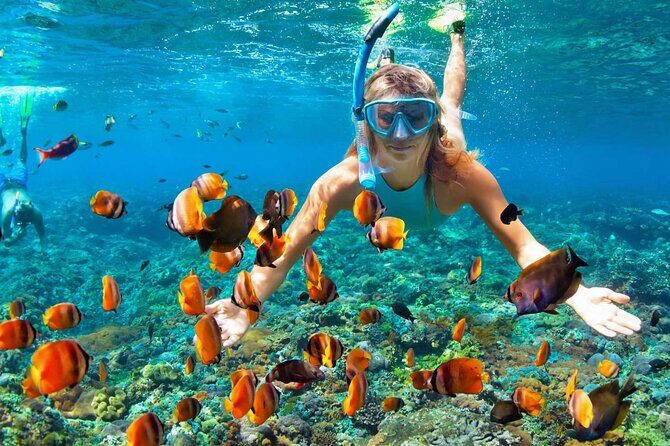 Kayaking & Snorkeling in Samana Bay and Cayo Levantado Island - Key Points