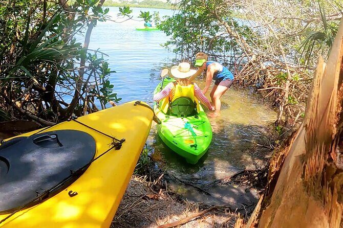 Kayaking the Canals of Venice, FL - Key Points