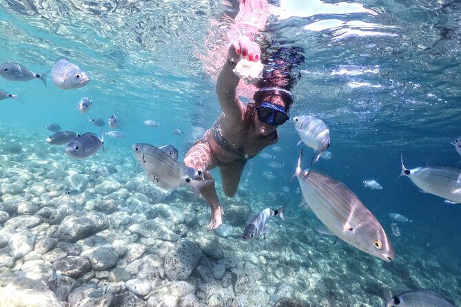 Kayaking to Island Saint Jerolim with snorkeling activitie - Price and Value: Is It Worth It?