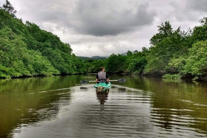 Kayaking to the Islands & mangroves in Paraty - Experience the Calm Waters of Paraty: Kayaking to Islands & Mangroves
