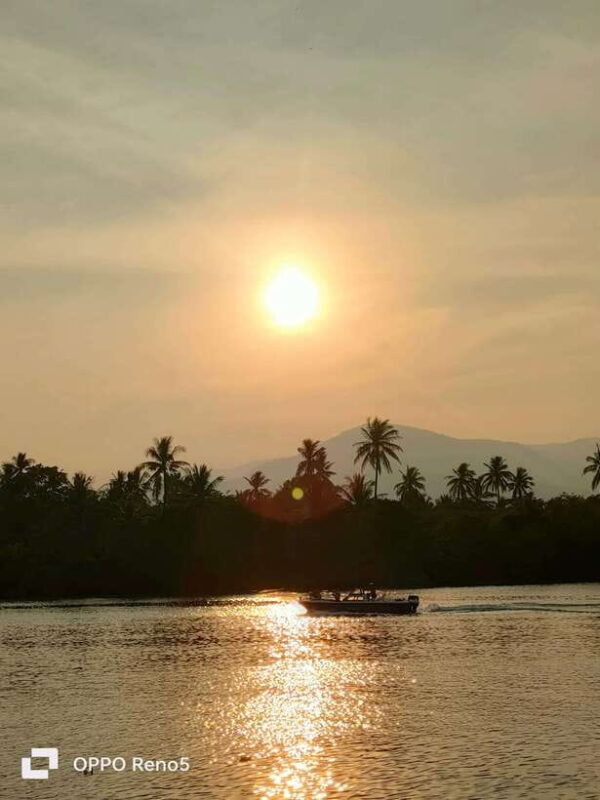 Kayaking tour around green cathedral - Practical Tips for Travelers