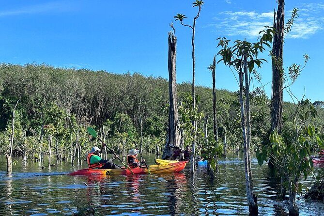 Kayaking Tour at Klong Root (Crystal Lake), Krabi - In-Depth Review of the Kayaking Tour at Klong Root (Crystal Lake)