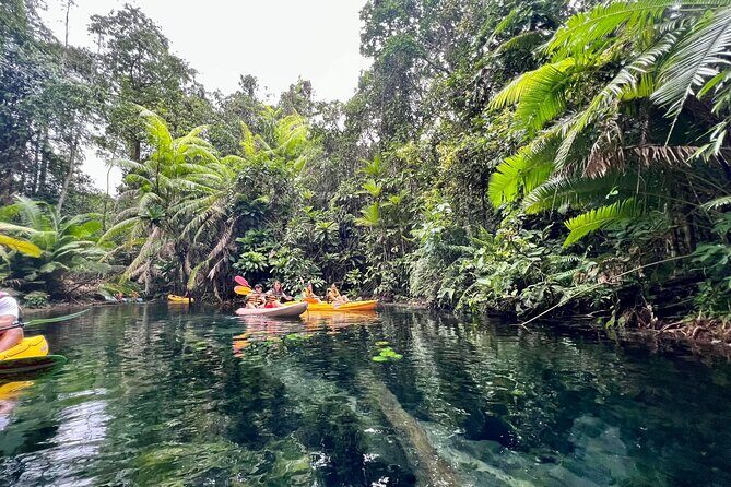 Kayaking Tour at Klong Root (Crystal Lake), Krabi - FAQ