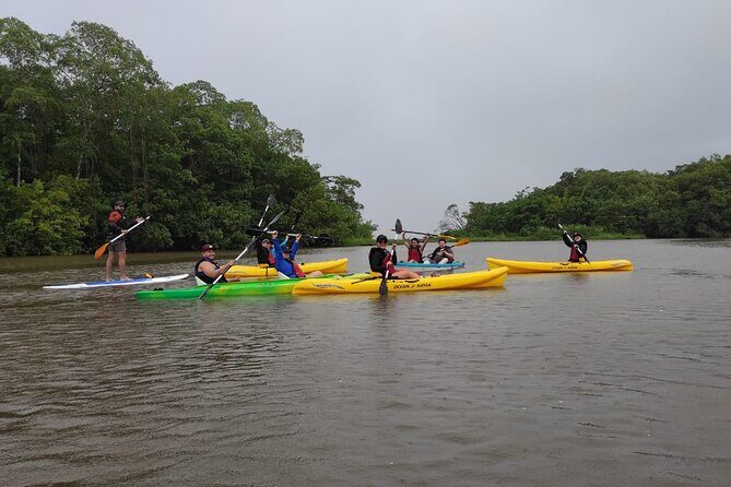 Kayaking Tour in Gandoca Lagoon throug mangrove forest - Key Points