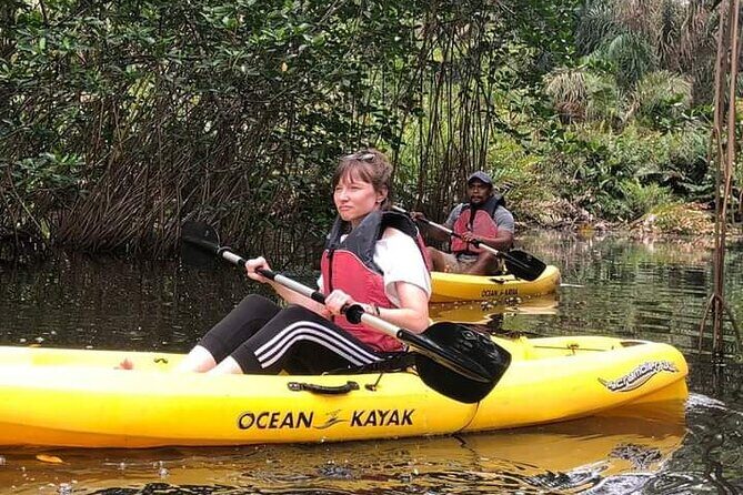 Kayaking Tour in Gandoca Lagoon throug mangrove forest - A Deep Dive into the Gandoca Lagoon Kayaking Experience