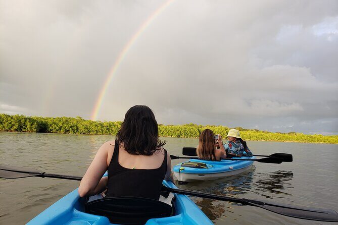 Kayaking Tour in the Mangroves of Chiriqui - Key Points