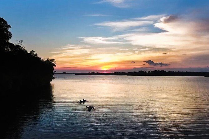 Kayaking Tour in the Mangroves of Chiriqui - A Detailed Look at the Kayaking in Chiriqui