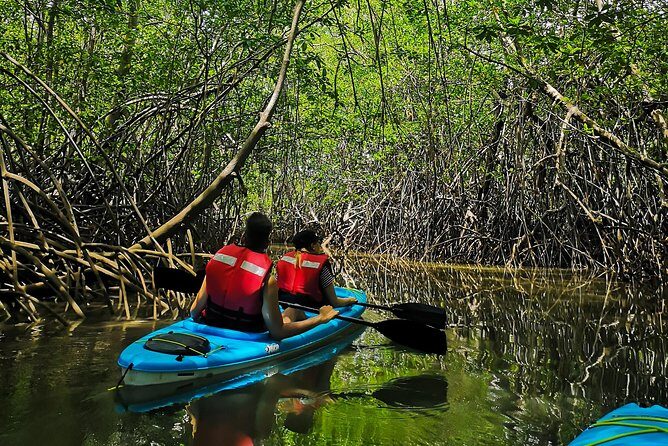 Kayaking Tour in the Mangroves of Chiriqui - FAQ