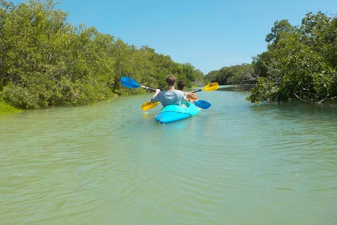 Kayaking Tour Through the Mangroves in Isla Holbox - An In-Depth Look at the Kayaking Experience in Isla Holbox
