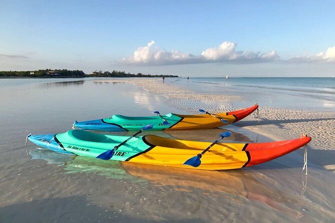 Kayaking Tour Through the Mangroves in Isla Holbox - Authentic Experiences & Real Traveler Feedback