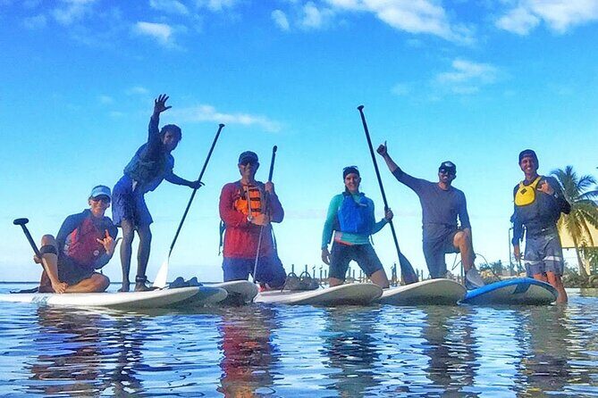Kayaking with coastal wildlife in Sarasota Bay - Key Points