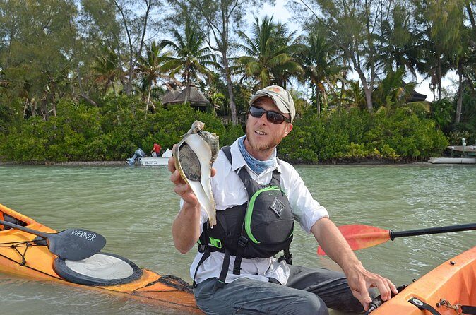 Kayaking with coastal wildlife in Sarasota Bay - The Sum Up: Who Should Consider This Tour?