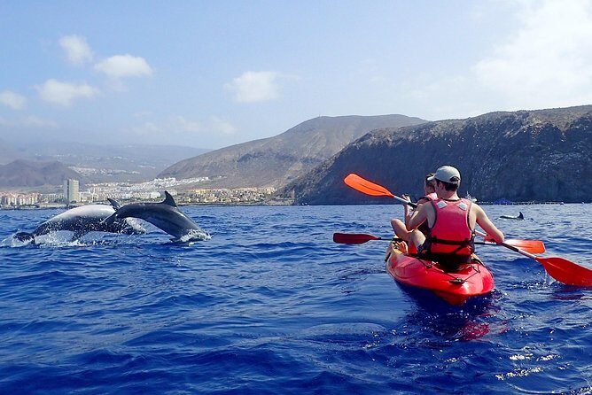 Kayaking with Dolphins and Turtles and Snorkelling in Tenerife - Key Points