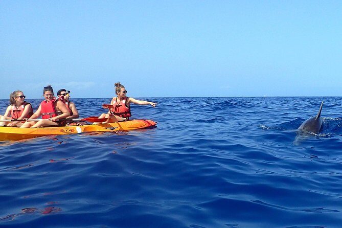 Kayaking with Dolphins and Turtles and Snorkelling in Tenerife - Authentic Experiences Highlighted by Travelers