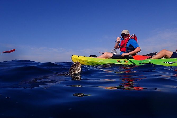 Kayaking with Dolphins and Turtles and Snorkelling in Tenerife - Final Thoughts: Is This Tour Right for You?