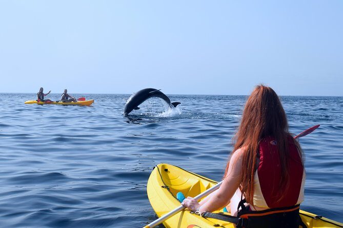 Kayaking with Dolphins and Turtles and Snorkelling in Tenerife - In The Sum Up