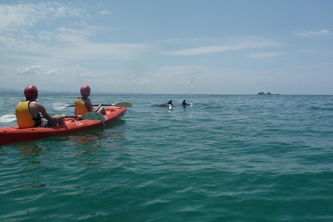 Kayaking with Dolphins in Byron Bay Guided Tour - A Deep Dive into the Byron Bay Dolphin Kayaking Adventure