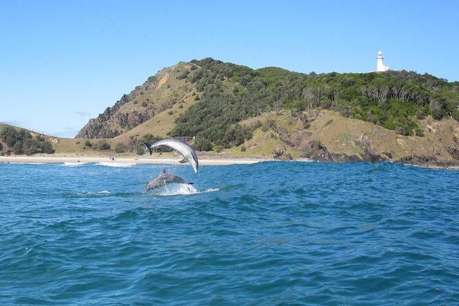 Kayaking with Dolphins in Byron Bay Guided Tour - Final Thoughts: Is It Worth It?