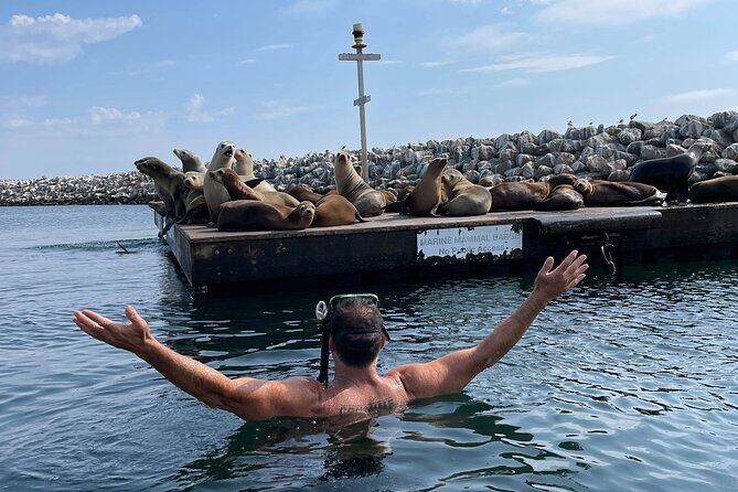 Kayaking with Sea Lions in a Calm Beautiful Harbor - An Authentic Marine Adventure in Redondo Beach