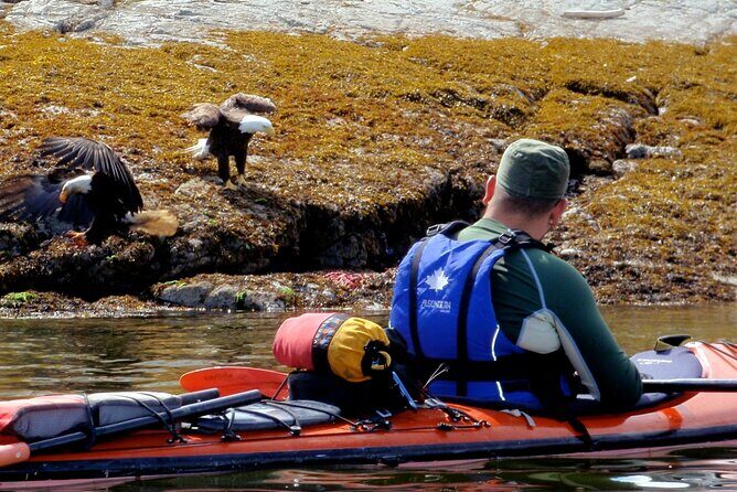 Kayaking with Whales and Wildlife - FAQ