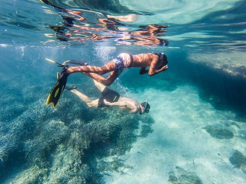 Kayak&Snorkel Tour - The Secret of the Posidonia - Exploring Mallorca’s Hidden Underwater Treasure