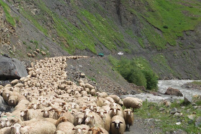 Kazbegi Day trip - FAQ