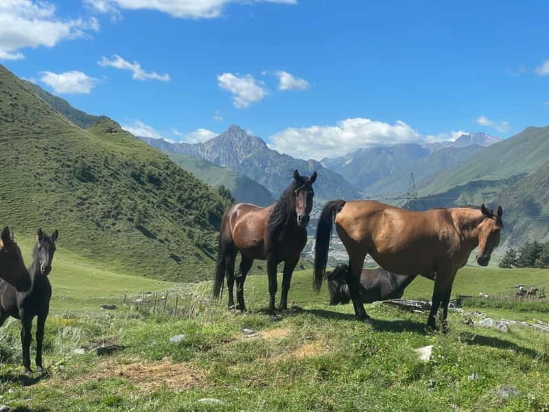 Kazbegi:Sunset Horse Riding Tour from Rooms Hotel Kazbegi - Kazbegi: Sunset Horse Riding Tour from Rooms Hotel Kazbegi