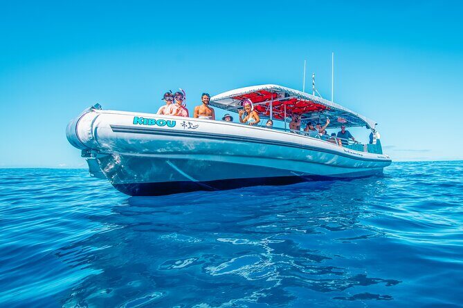 Kealakekua Bay Snorkel & Dolphin Watch In Kona - Who Should Book This Tour?