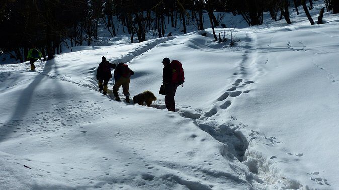 Kedarkantha Trek - The Journey Begins: Day-by-Day Breakdown