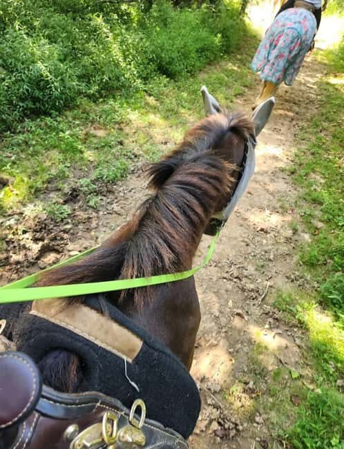 Keeneland: Horseback Riding Experience with Guide - Final Thoughts
