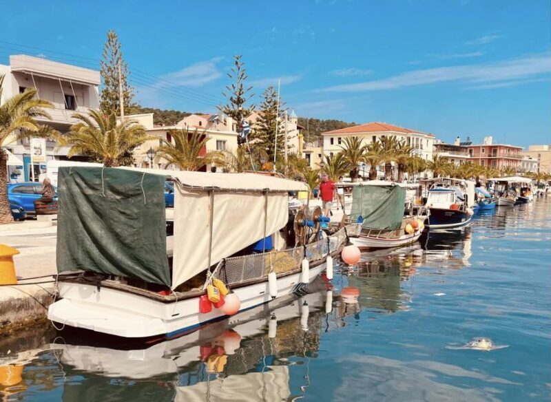 Kefallonia: Full-Day Private Sightseeing Tour - Who Will Appreciate This Tour?
