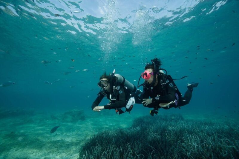 Kefalonia: Beginner Scuba Diving at Agia Efimia Village - Exploring the Kefalonia Scuba Experience in Detail