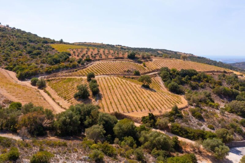 Kefalonia Highlights Robola Winery, Melissani & Fiscardo - Who Should Consider This Tour?