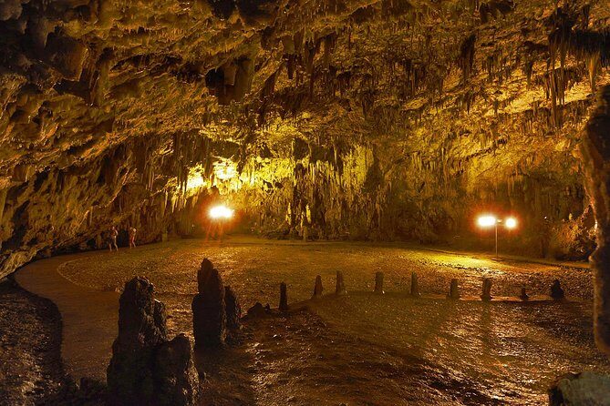 Kefalonia Island Bus Tour- Wine Tasting, Melissani & Fiscardo - Who Should Consider This Tour?