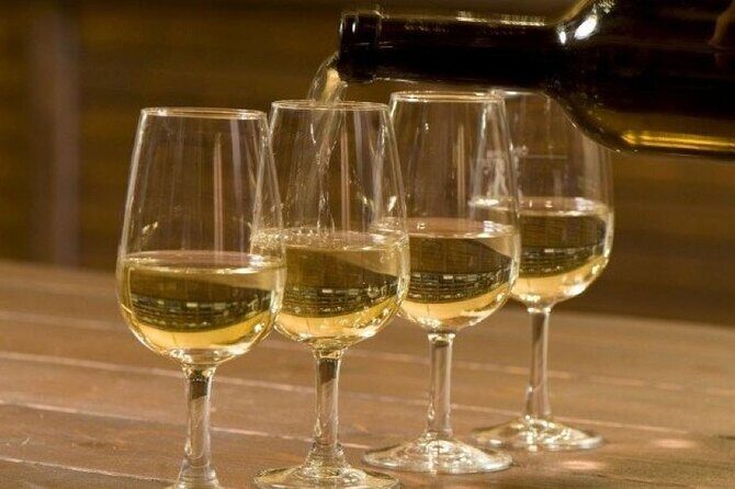 Kefalonia Private Wine Tour - A Deep Dive into the Kefalonia Wine Experience