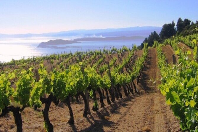 Kefalonia Private Wine Tour - Final Thoughts