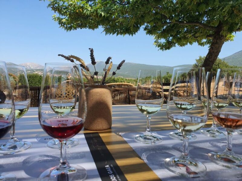 Kefalonia Wine Adventure in 3 Wineries With Tastings - Who is This Tour Best For?