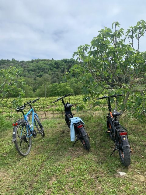 Kefalonia Wine Tour on E-Bikes - Why Choose the Kefalonia Wine E-Bike Tour?