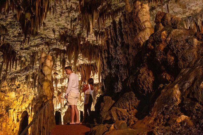 Kefalonia's Treasures - Exclusive Private Journey - Discover the Marvels Beneath the Surface