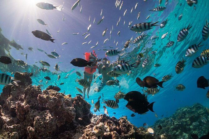 Keishi Tour Half Day Shared Excursion - A Deep Dive into the Keishi Tour Half Day Excursion