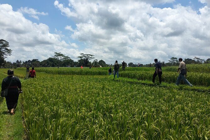 Keliki Village Tour And Rice Field Walk Including Lunch Or Dinner - A Closer Look at the Keliki Village Tour