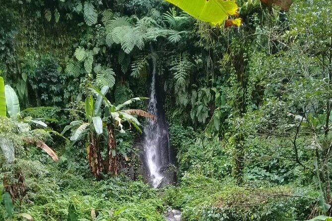 Keliki Village Tour And Rice Field Walk Including Lunch Or Dinner - Practical Tips for Visitors