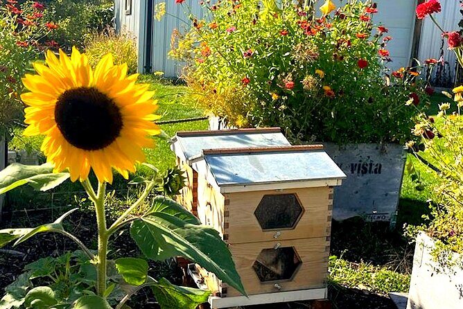 Kelowna E-Bike Bee Tour, Tastings, Organic Lunch & Audio Guide - Additional Notes