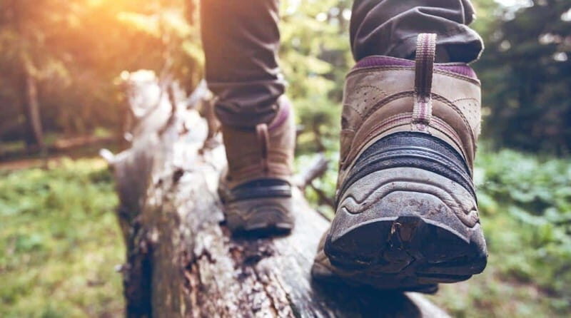 Kelowna: Guided Hiking Tour - The Experience in Detail