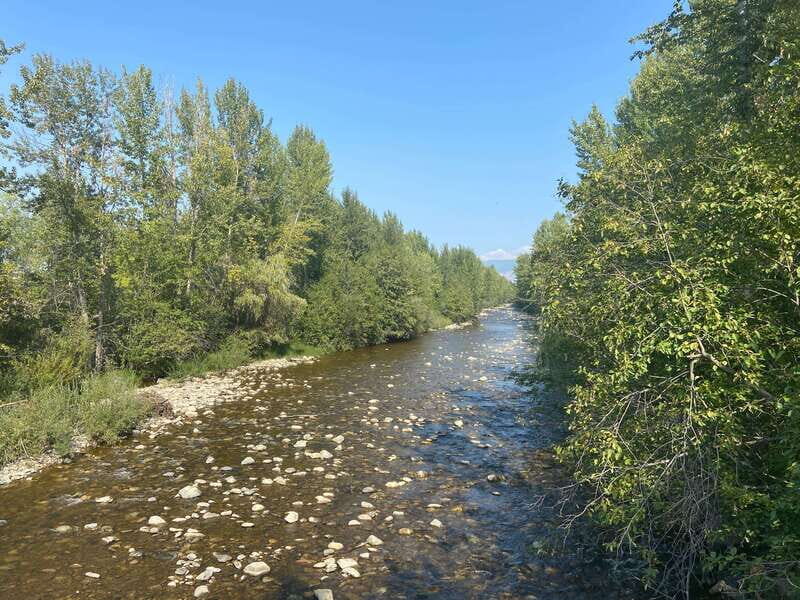Kelowna: Mission Creek Salmon Run Audio Tour by E-Bike - Why the Experience Works