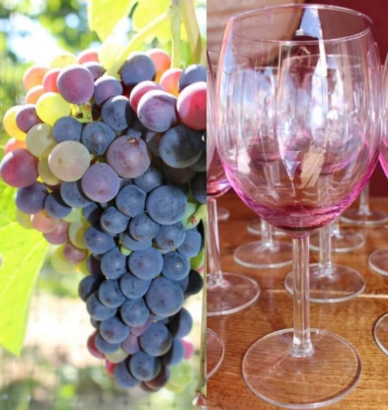 Kelowna: Myra Canyon Bike & Wine Tasting Full Day Tour - Key Points