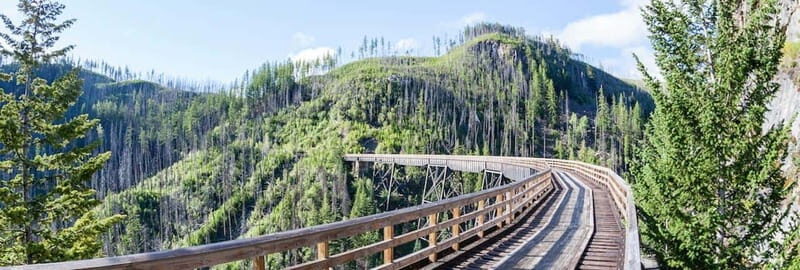 Kelowna: Myra Canyon E-Bike Tour - Key Points